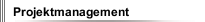 Projektmanagement